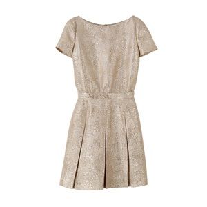 NWT Vanessa Seward & APC metallic dress